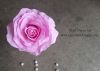 Hoa-hồng-mút-xốp - ảnh nhỏ  1