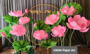 HOA SEN GIẤY - Loài hoa biểu tượng của Việt Nam