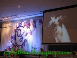 Backdrop hoa giấy 51