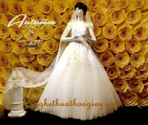 Trang trí showroom 26