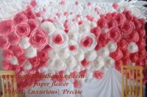 Backdrop hoa giấy 76