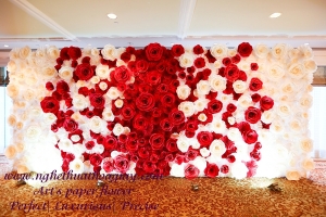 Backdrop hoa giấy 77