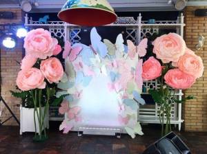 Cây hoa mẫu đơn giấy (5)
