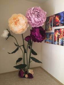 Cây mẫu đơn giấy (29)
