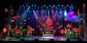 Diamond Show-Đàm Vĩnh Hưng