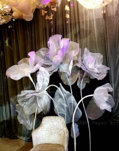 Grey Poppy