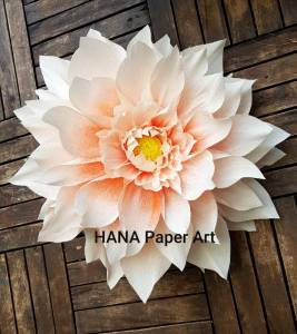MẪU HOA THƯỢC DƯỢC